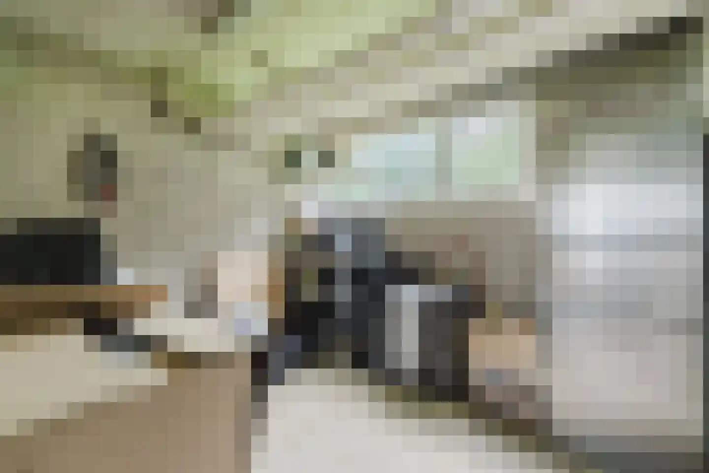 Pisanostraat 392 Eindhoven thumbnail 27