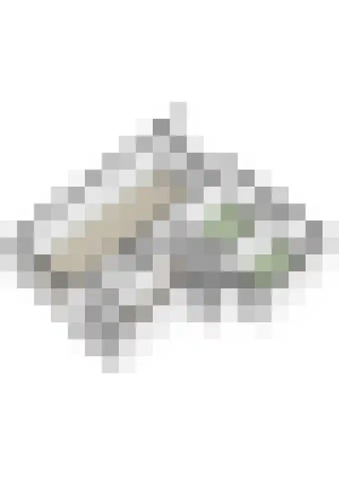 Pisanostraat 392 Eindhoven thumbnail 34