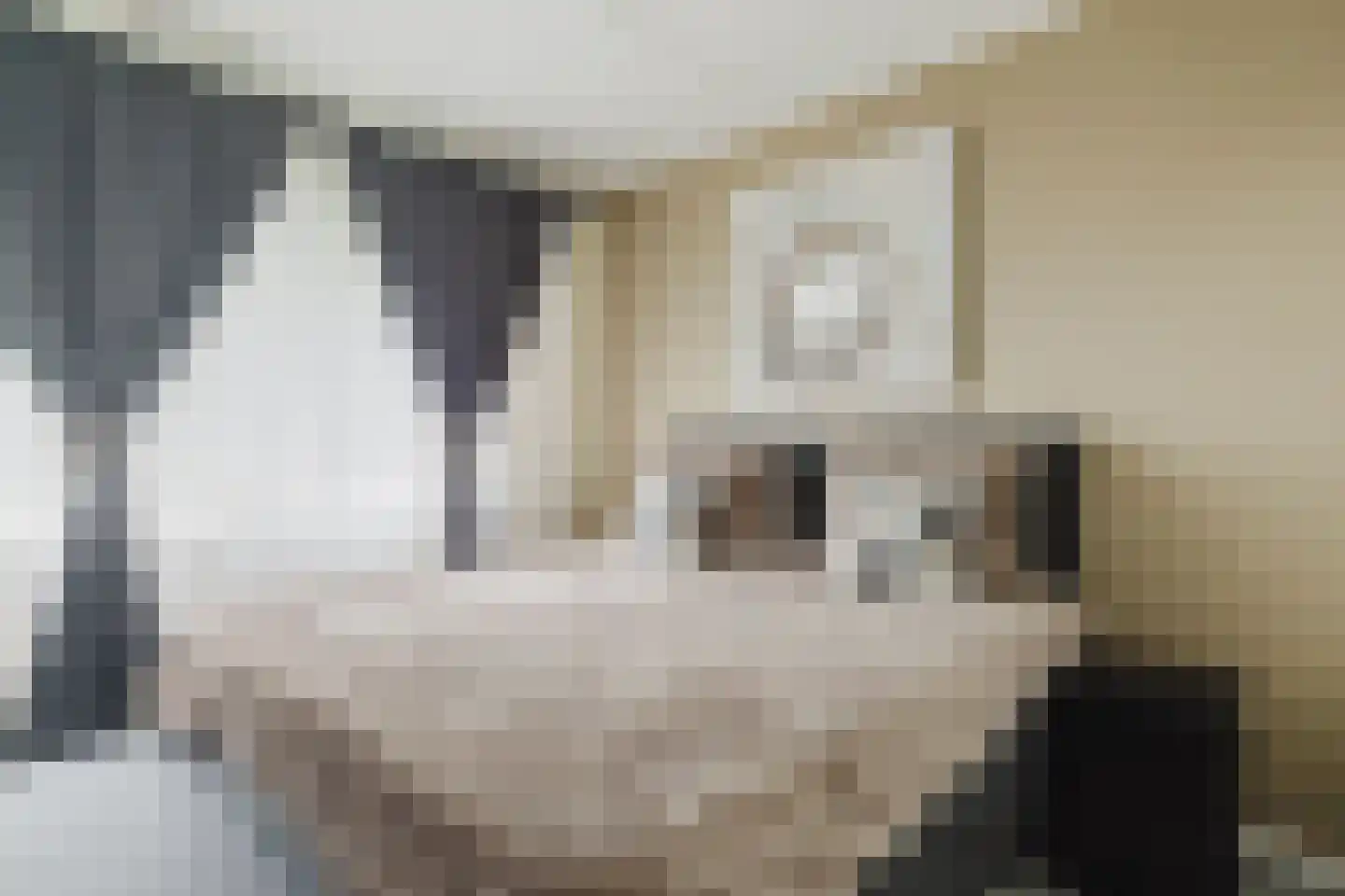 Pisanostraat 392 Eindhoven thumbnail 4