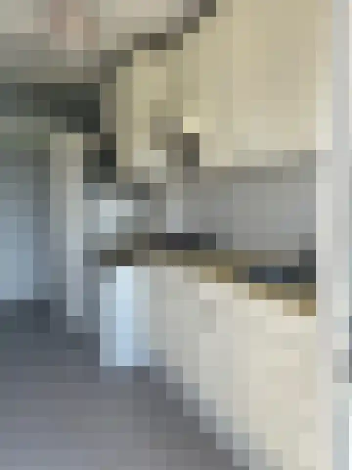Pisanostraat 396 Eindhoven thumbnail 10