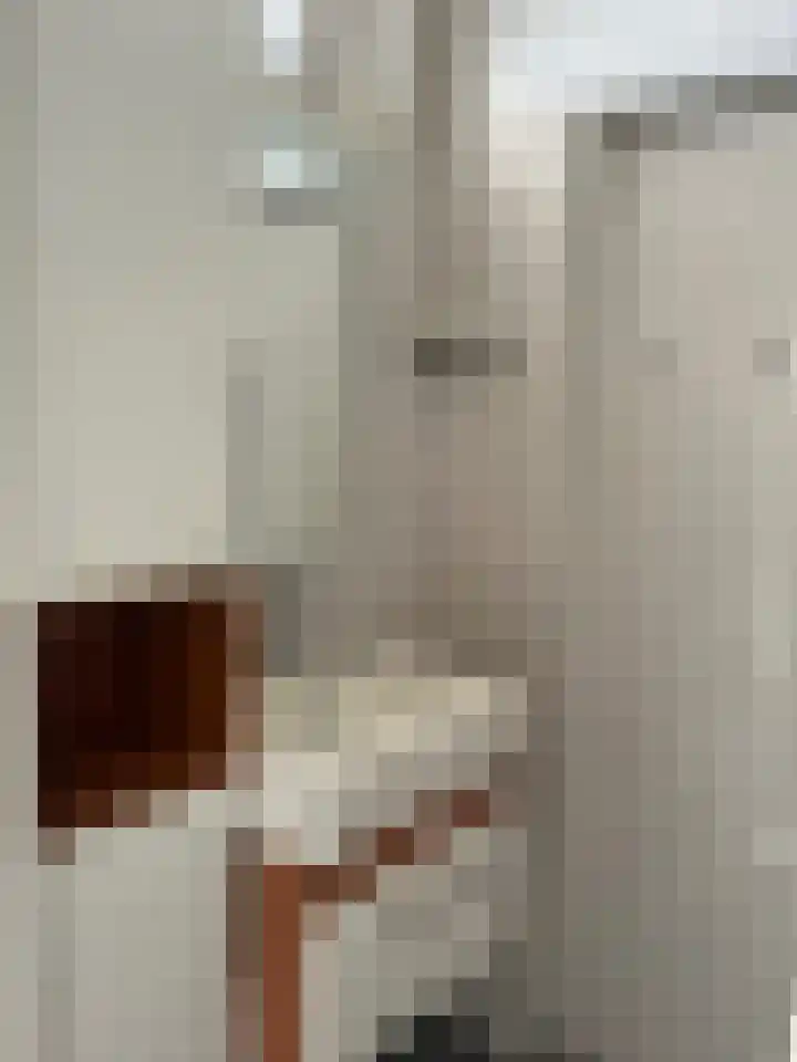 Pisanostraat 396 Eindhoven thumbnail 13
