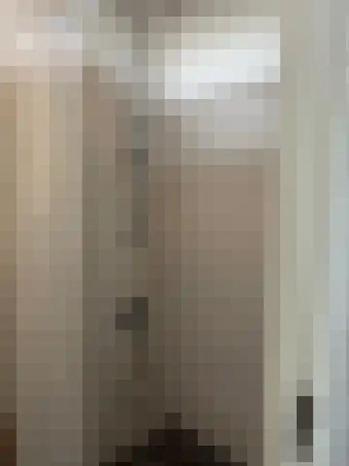 Pisanostraat 396 Eindhoven thumbnail 14