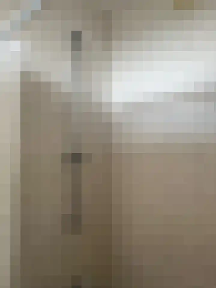 Pisanostraat 396 Eindhoven thumbnail 15