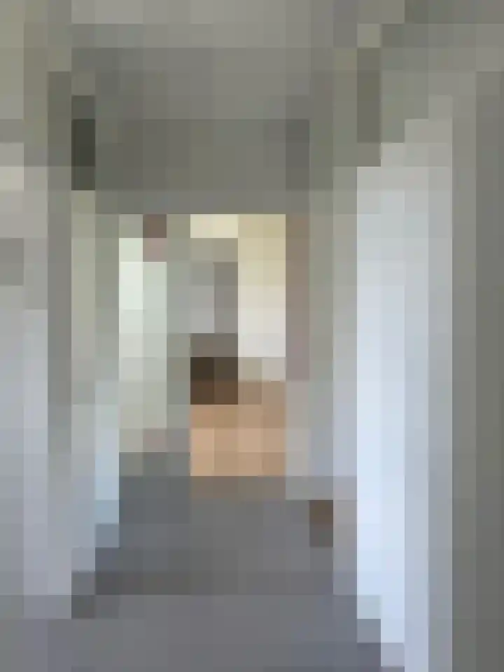 Pisanostraat 396 Eindhoven thumbnail 8