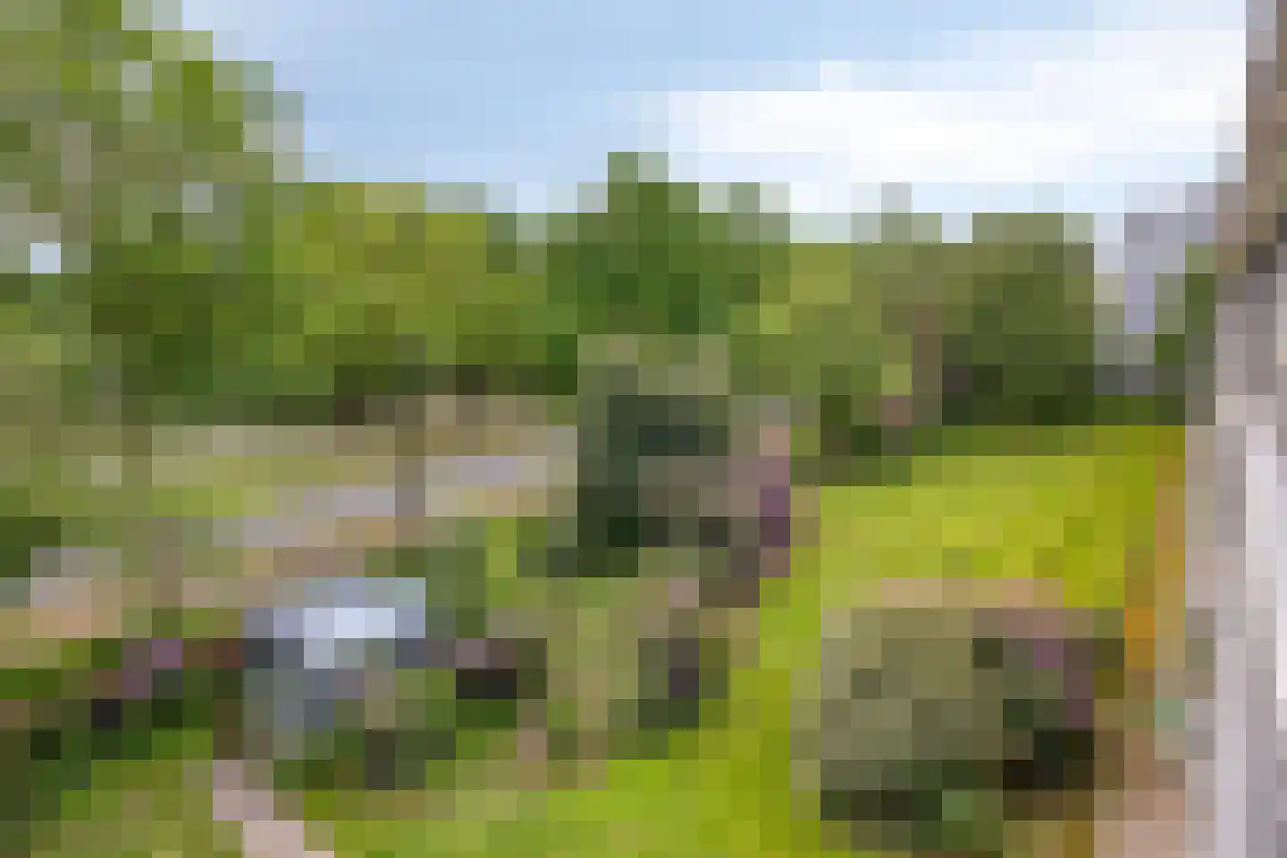 Pisanostraat 420 Eindhoven thumbnail 10