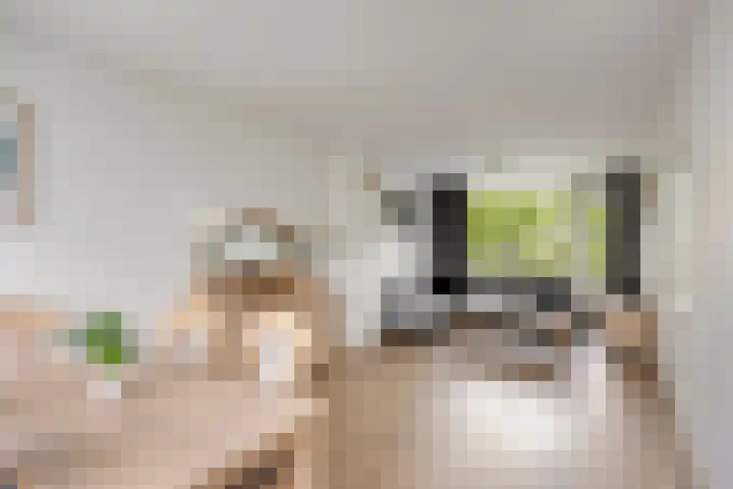 Pisanostraat 420 Eindhoven thumbnail 14