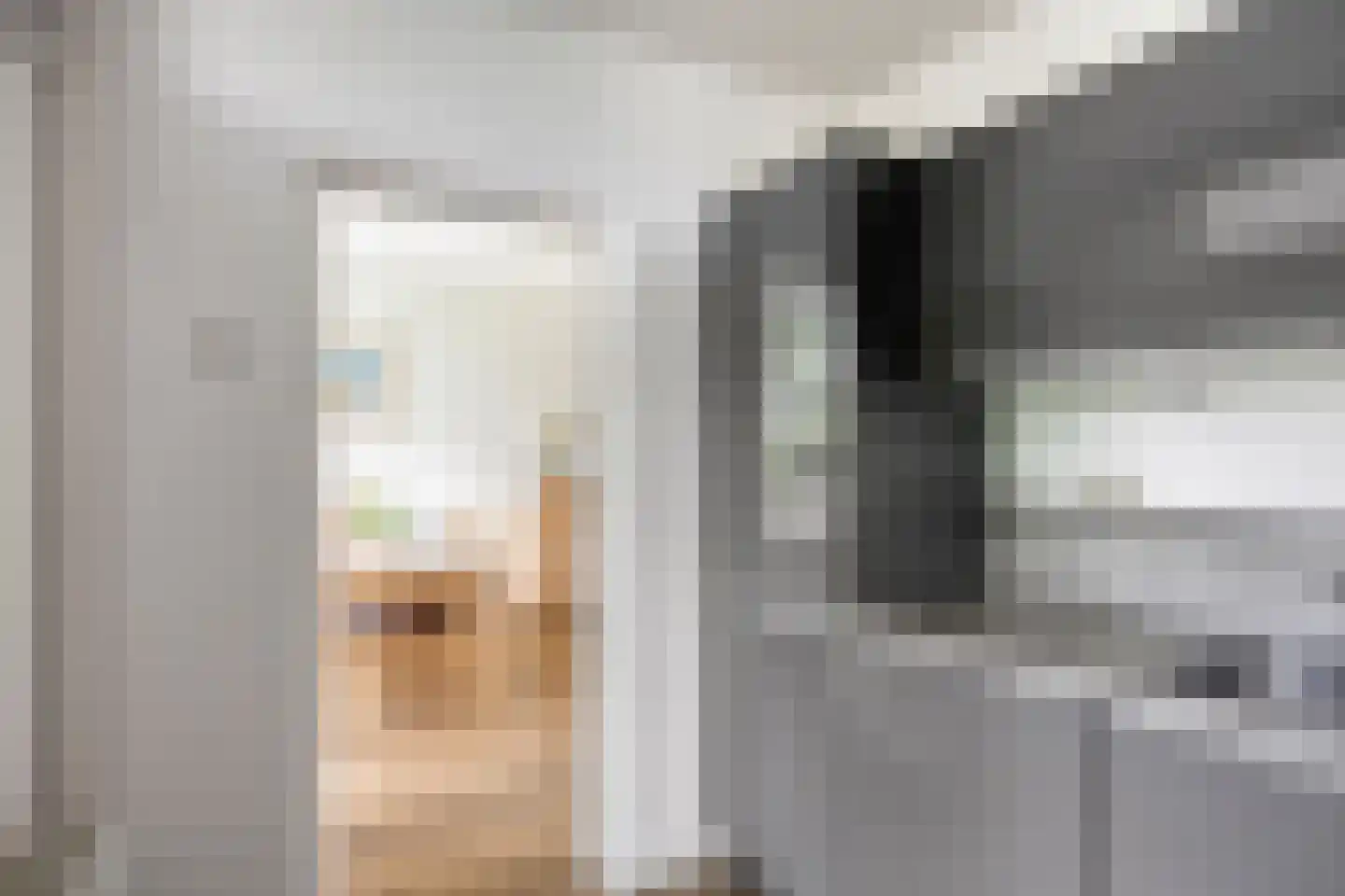 Pisanostraat 420 Eindhoven thumbnail 15
