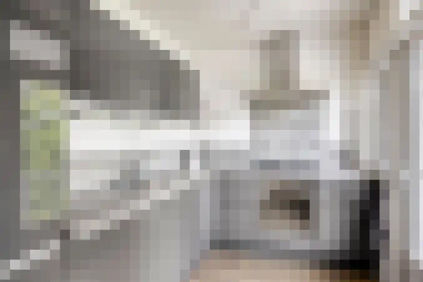 Pisanostraat 420 Eindhoven thumbnail 4