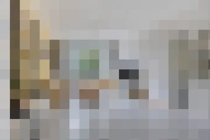 Pisanostraat 434 Eindhoven thumbnail 16