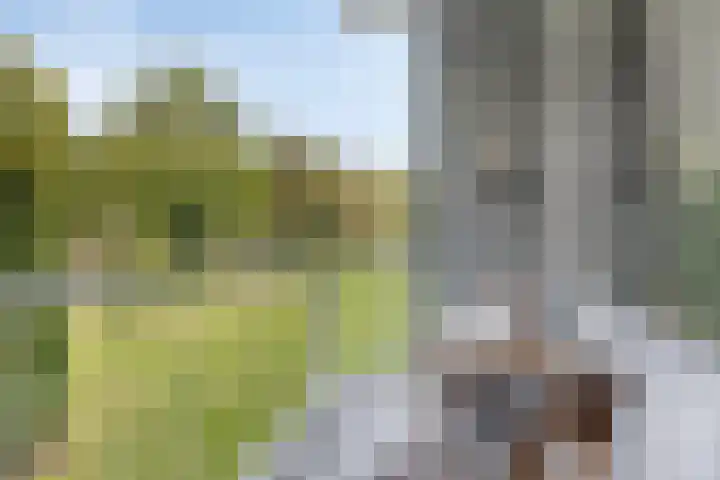 Pisanostraat 434 Eindhoven thumbnail 20