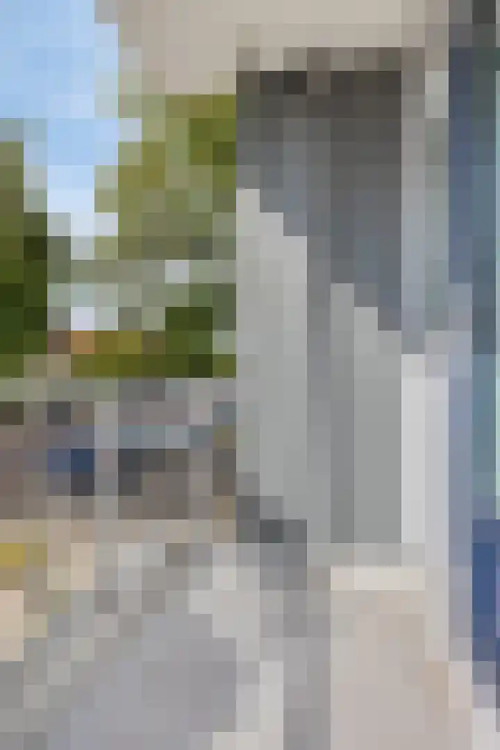Pisanostraat 434 Eindhoven thumbnail 25
