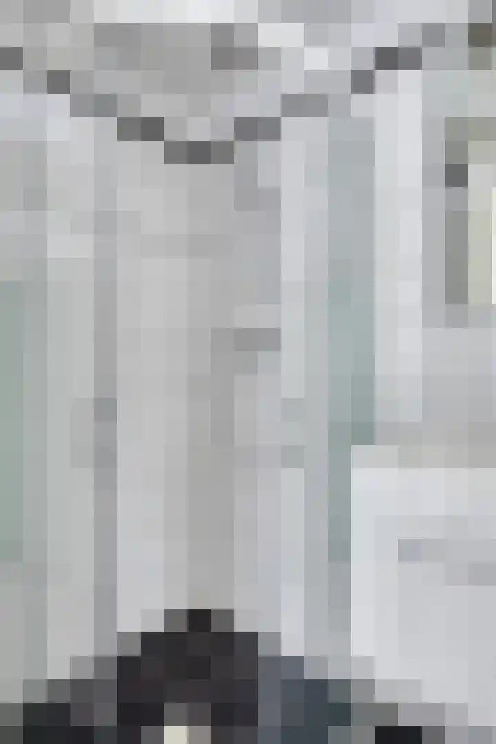 Pisanostraat 434 Eindhoven thumbnail 32