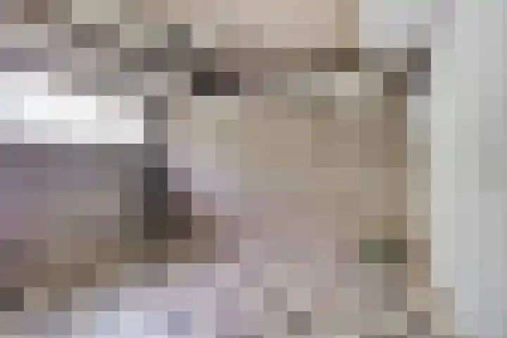 Pisanostraat 434 Eindhoven thumbnail 33