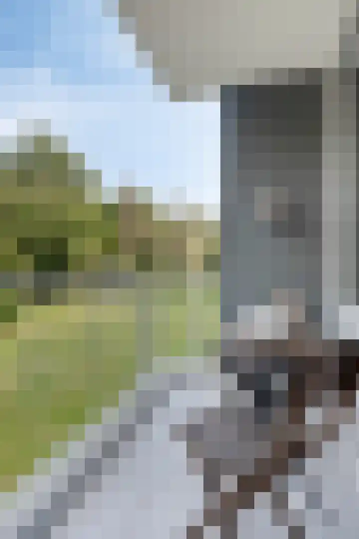 Pisanostraat 434 Eindhoven thumbnail 6