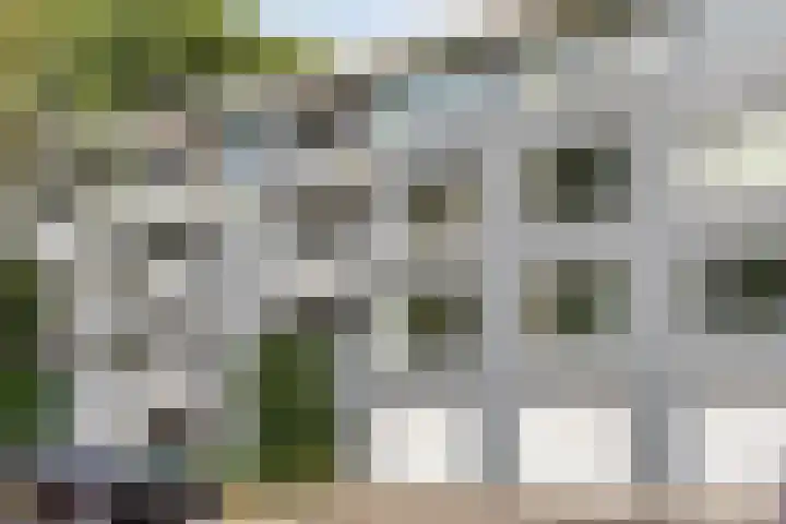 Pisanostraat 434 Eindhoven thumbnail 7