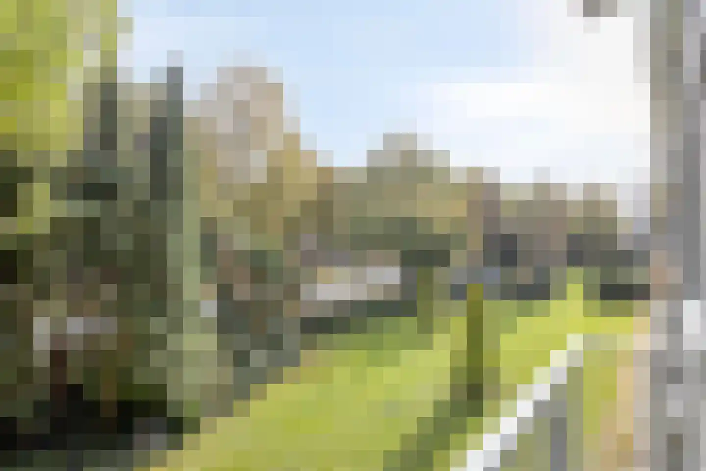 Pisanostraat 440 Eindhoven thumbnail 10
