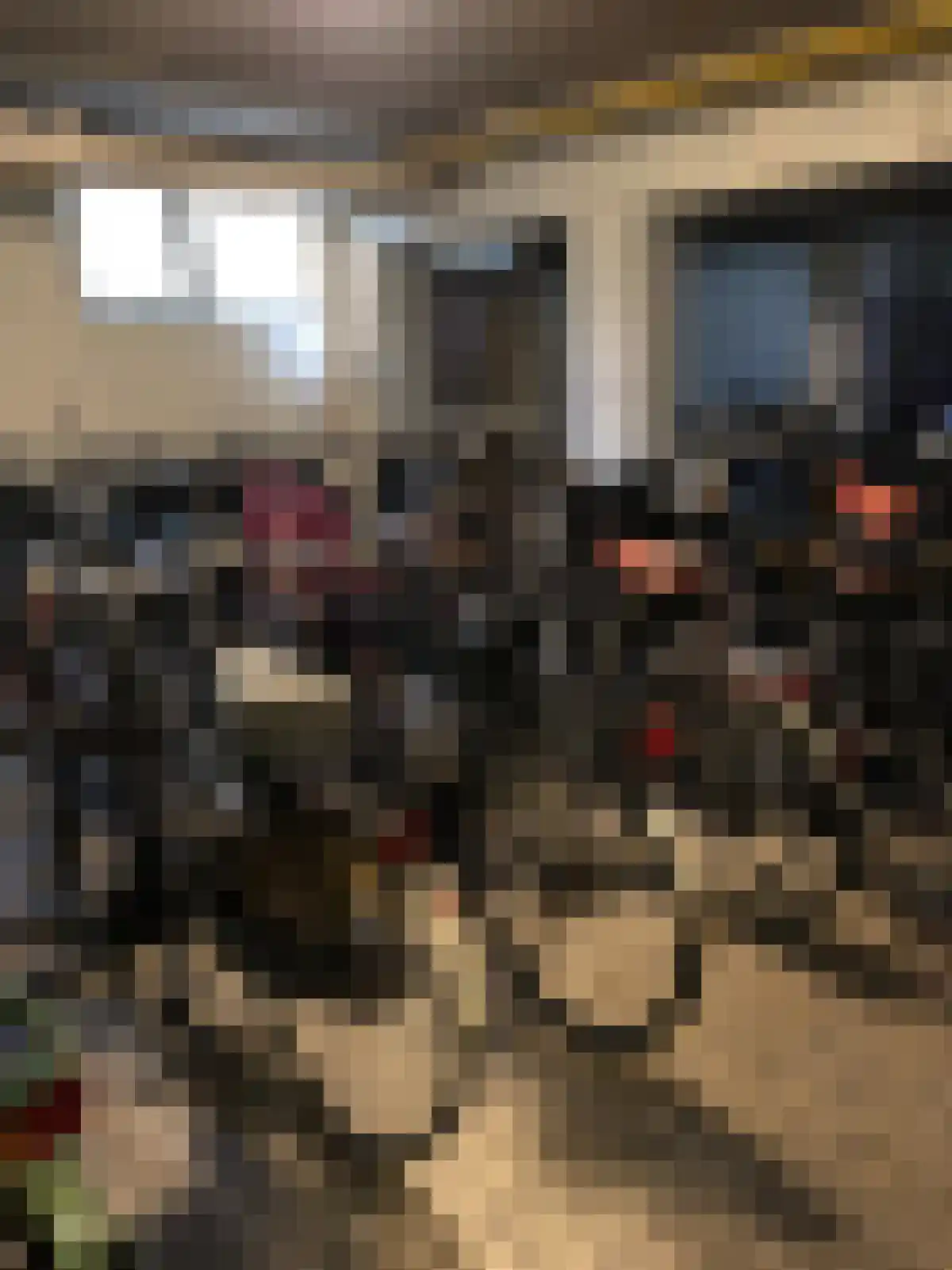 Pisanostraat 52 Eindhoven thumbnail 22