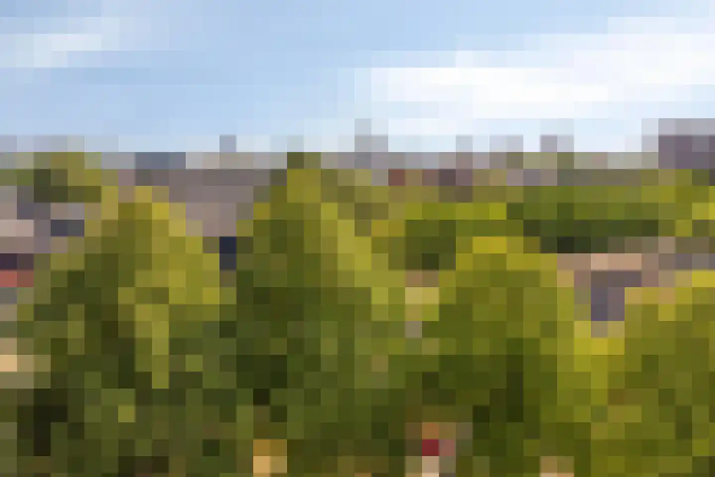 Pisanostraat 58 Eindhoven thumbnail 35