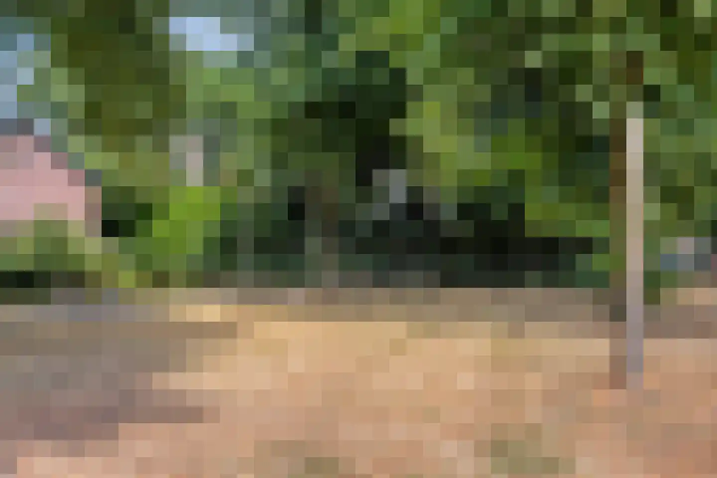 Pisanostraat 58 Eindhoven thumbnail 36