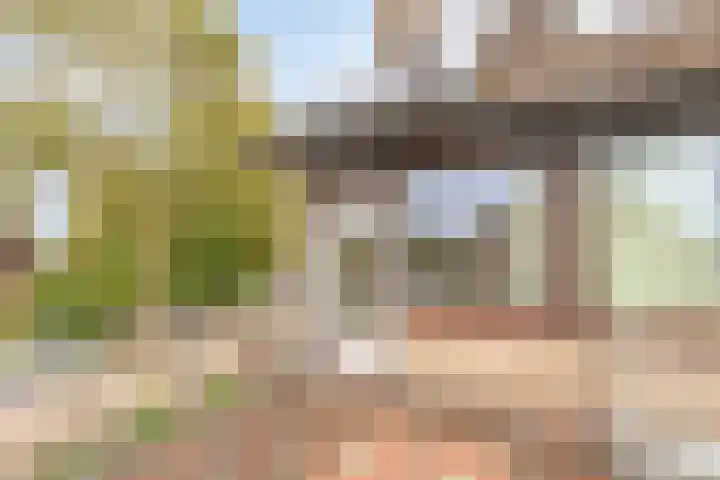 Pisanostraat 73 Eindhoven thumbnail 18
