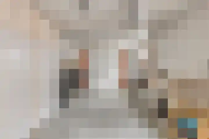 Pisanostraat 73 Eindhoven thumbnail 29