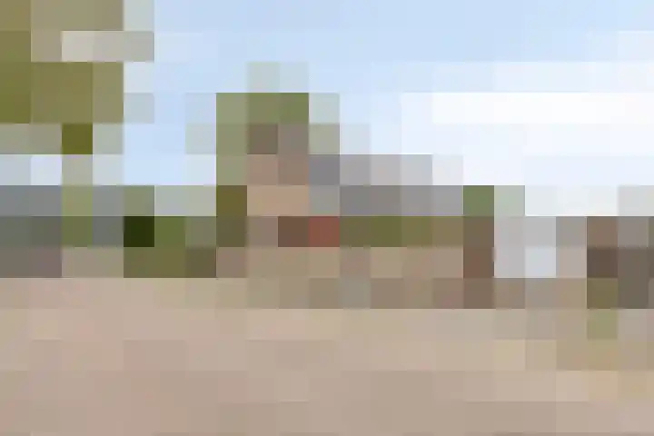 Pisanostraat 73 Eindhoven thumbnail 31
