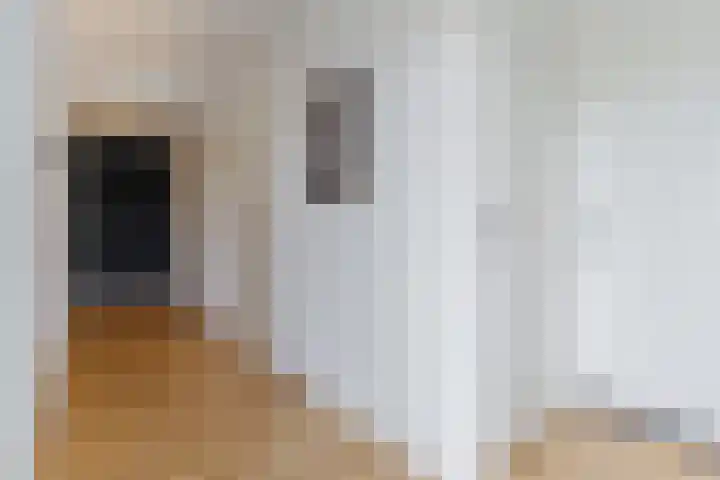 Pisanostraat 74 Eindhoven thumbnail 18
