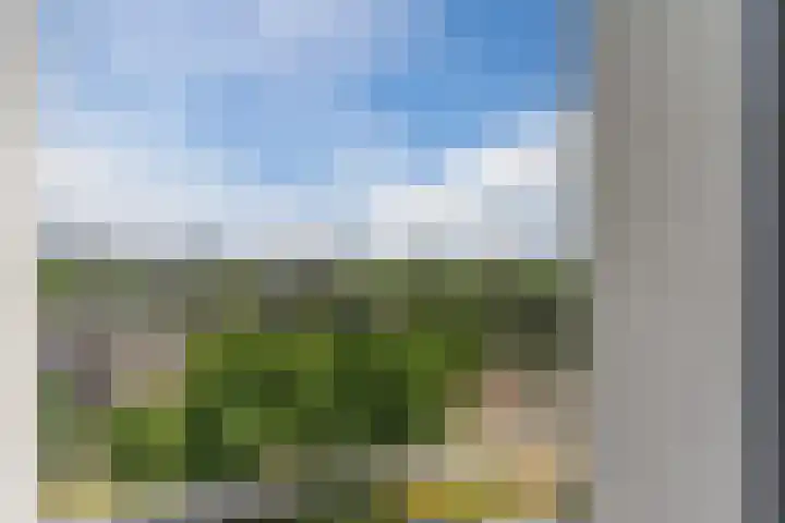 Pisanostraat 74 Eindhoven thumbnail 23