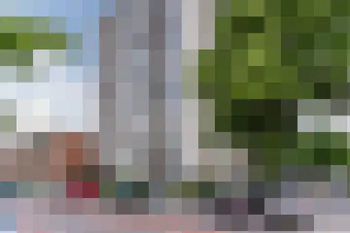 Pisanostraat 74 Eindhoven thumbnail 30
