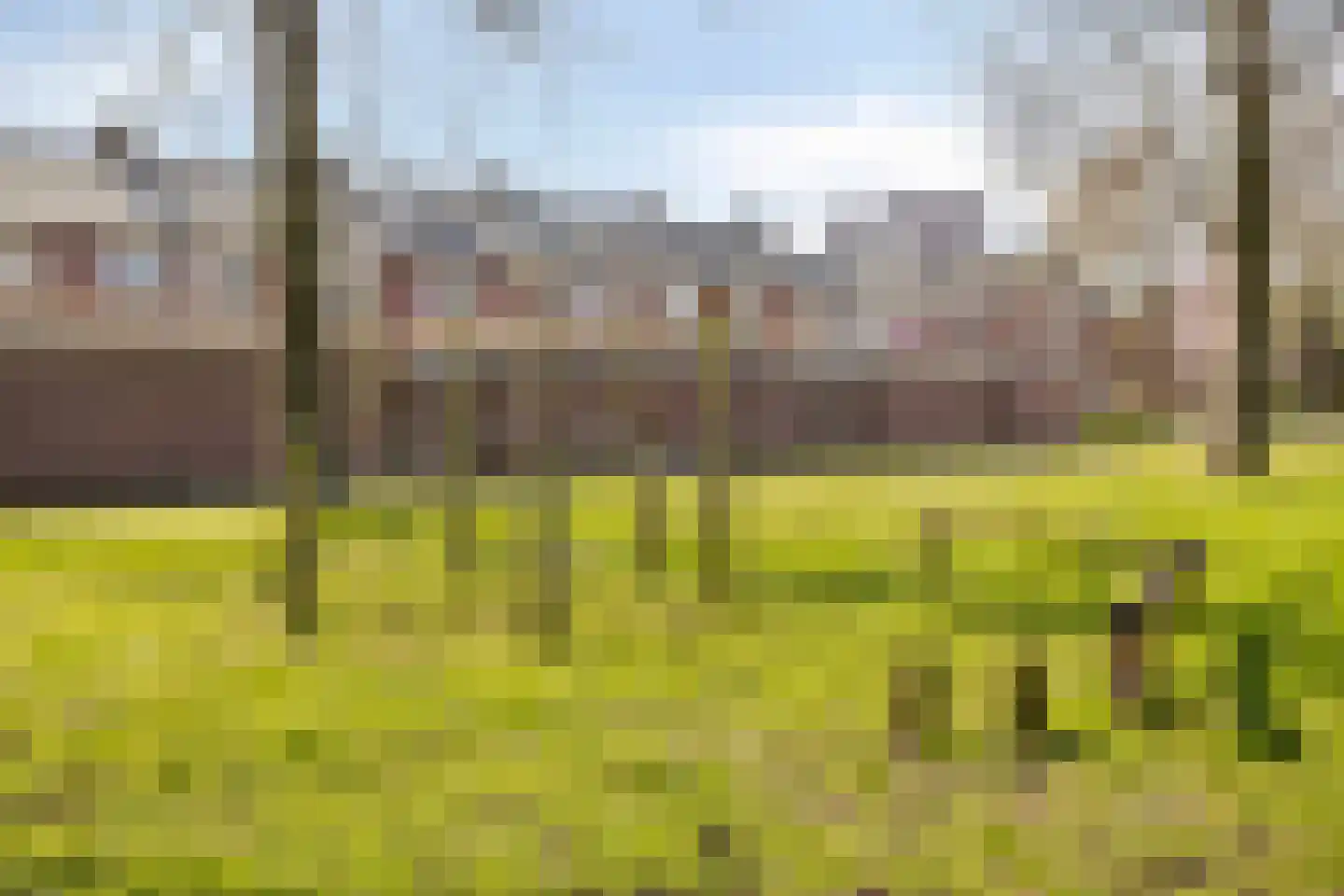 Pisanostraat 78 Eindhoven thumbnail 24