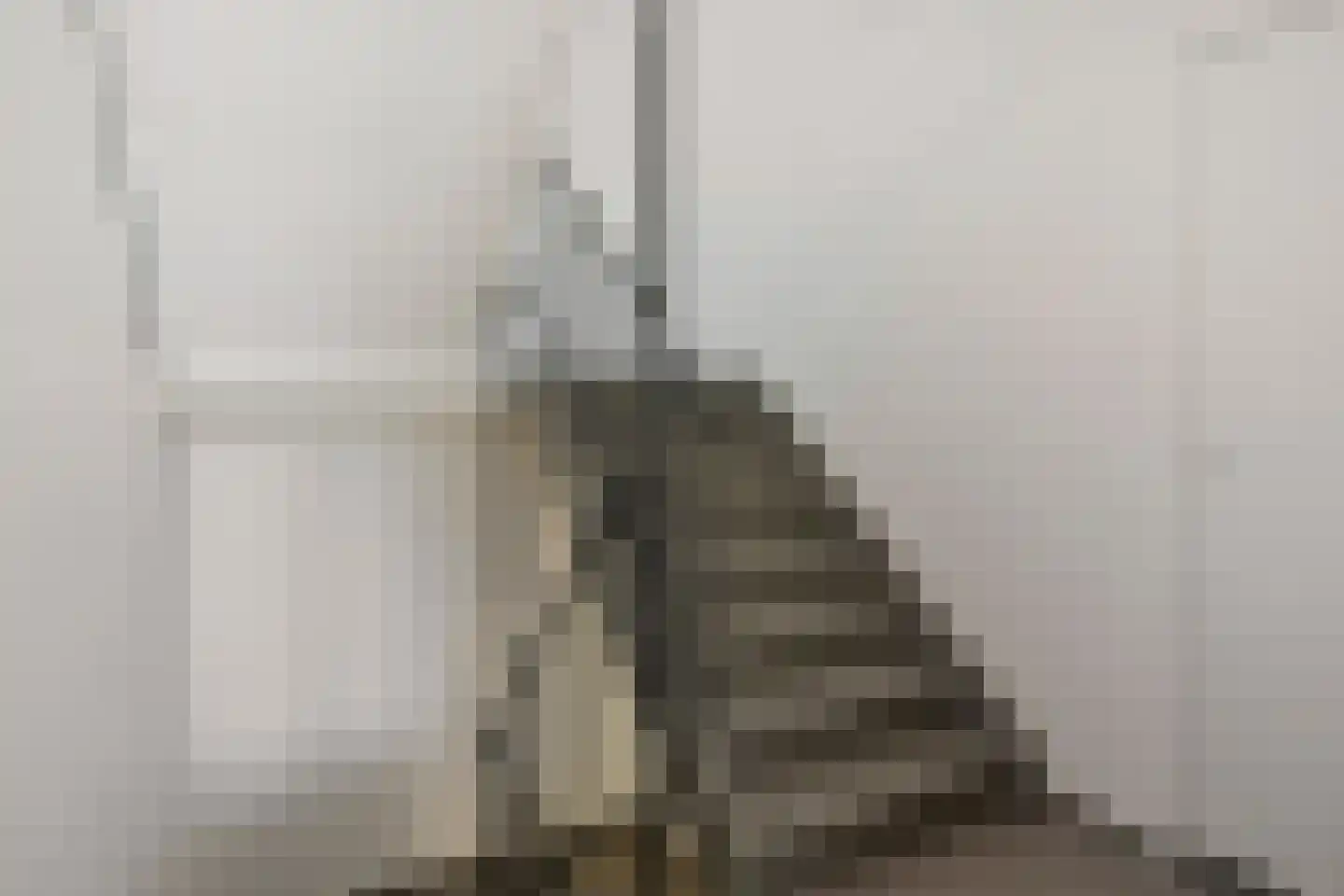 Pisanostraat 78 Eindhoven thumbnail 8