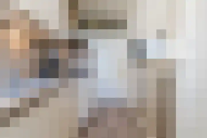 Pisanostraat 86 Eindhoven thumbnail 20
