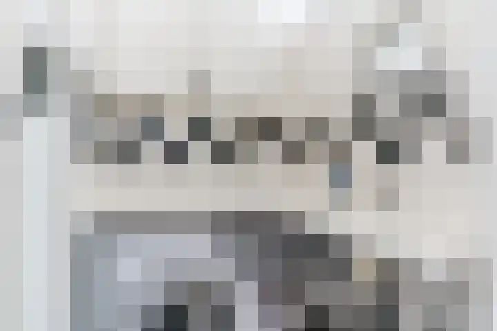 Pisanostraat 86 Eindhoven thumbnail 21