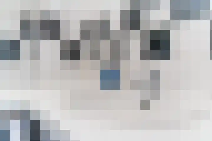 Pisanostraat 86 Eindhoven thumbnail 24