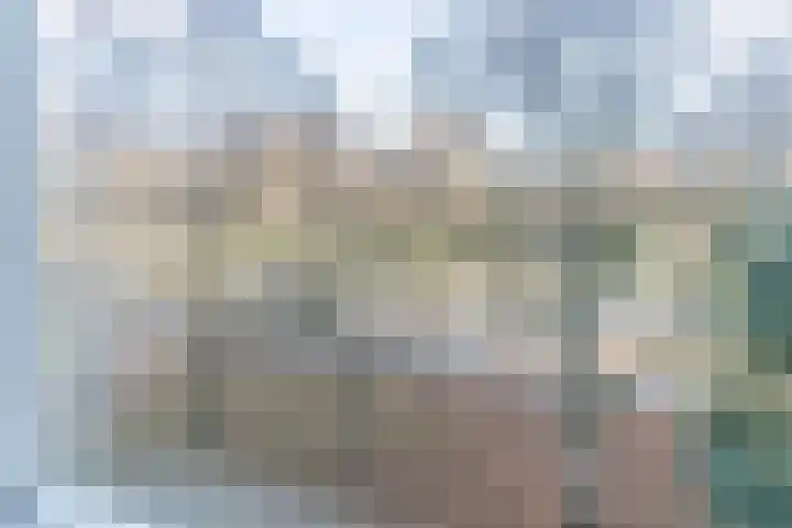 Pisanostraat 86 Eindhoven thumbnail 27