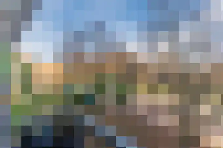 Pisanostraat 86 Eindhoven thumbnail 33