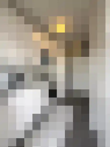 Pisanostraat 90 Eindhoven thumbnail 4
