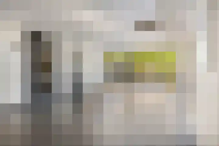 Pisastraat 49 's-Hertogenbosch thumbnail 20