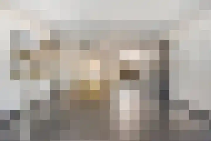 Pisastraat 49 's-Hertogenbosch thumbnail 21