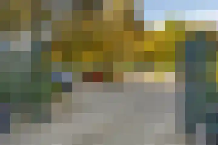 Pisastraat 49 's-Hertogenbosch thumbnail 22
