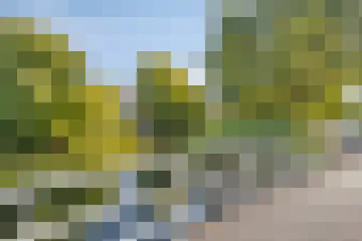 Pisastraat 49 's-Hertogenbosch thumbnail 26