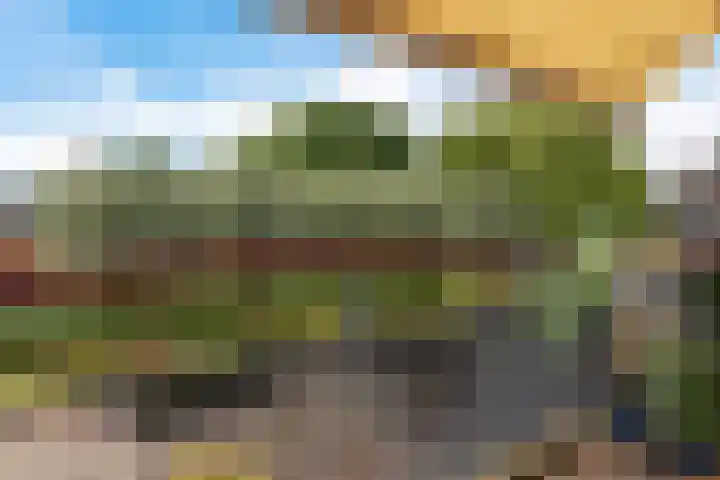 Pissarrohof 2 Hoorn thumbnail 12