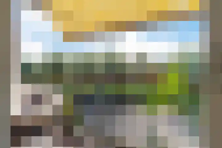Pissarrohof 2 Hoorn thumbnail 13