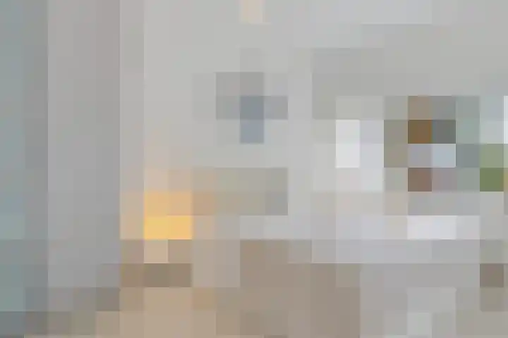 Pissarrohof 2 Hoorn thumbnail 23