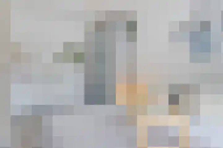 Pissarrohof 2 Hoorn thumbnail 24
