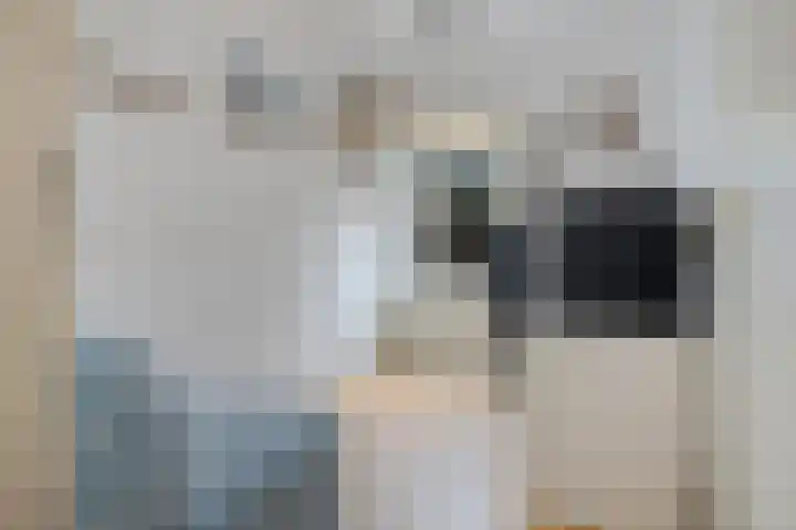 Pissarrohof 2 Hoorn thumbnail 32