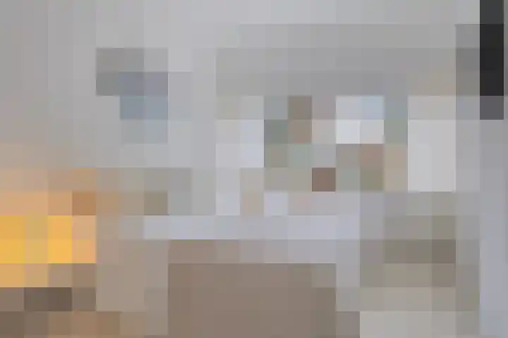 Pissarrohof 2 Hoorn thumbnail 4