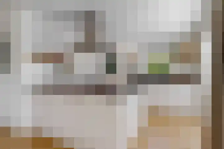 Pissarrohof 29 Hoorn thumbnail 11