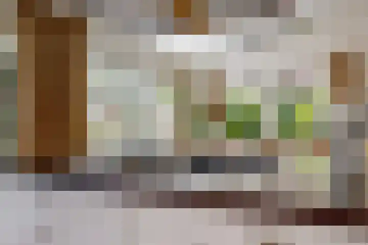 Pissarrohof 29 Hoorn thumbnail 13