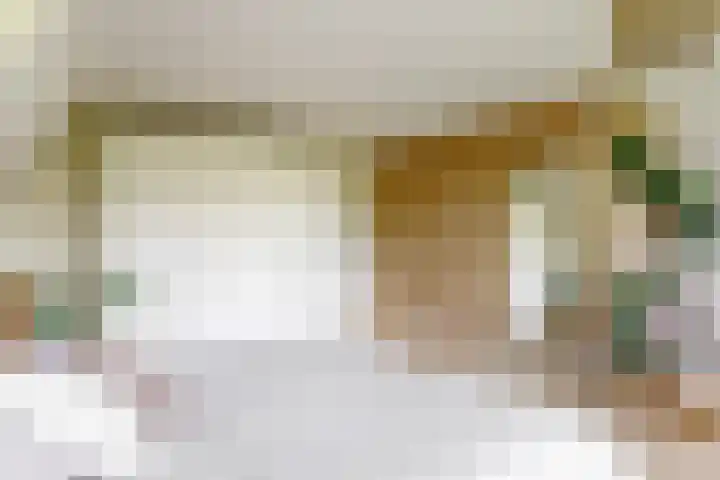 Pissarrohof 29 Hoorn thumbnail 21